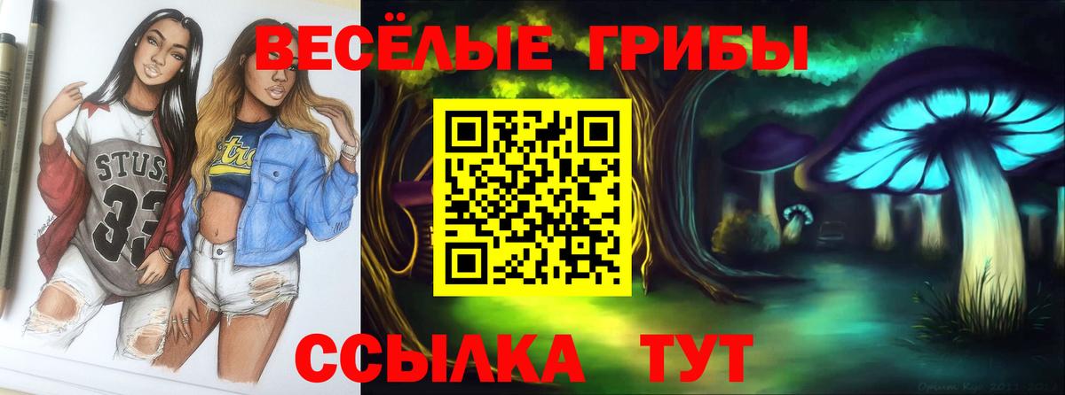 Псилоцибиновые грибы Psilocybe Кемерово